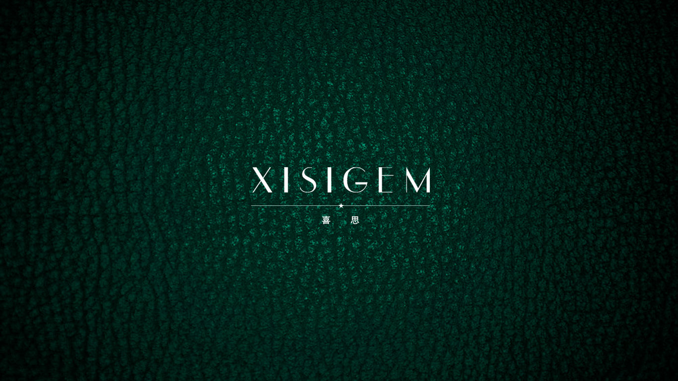 喜思原網(wǎng)站首頁設計——重慶網(wǎng)站建設公司(天蠶公司)